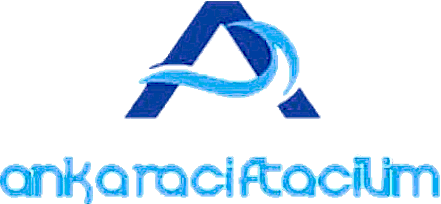 Ankara Çift Açılım Logo